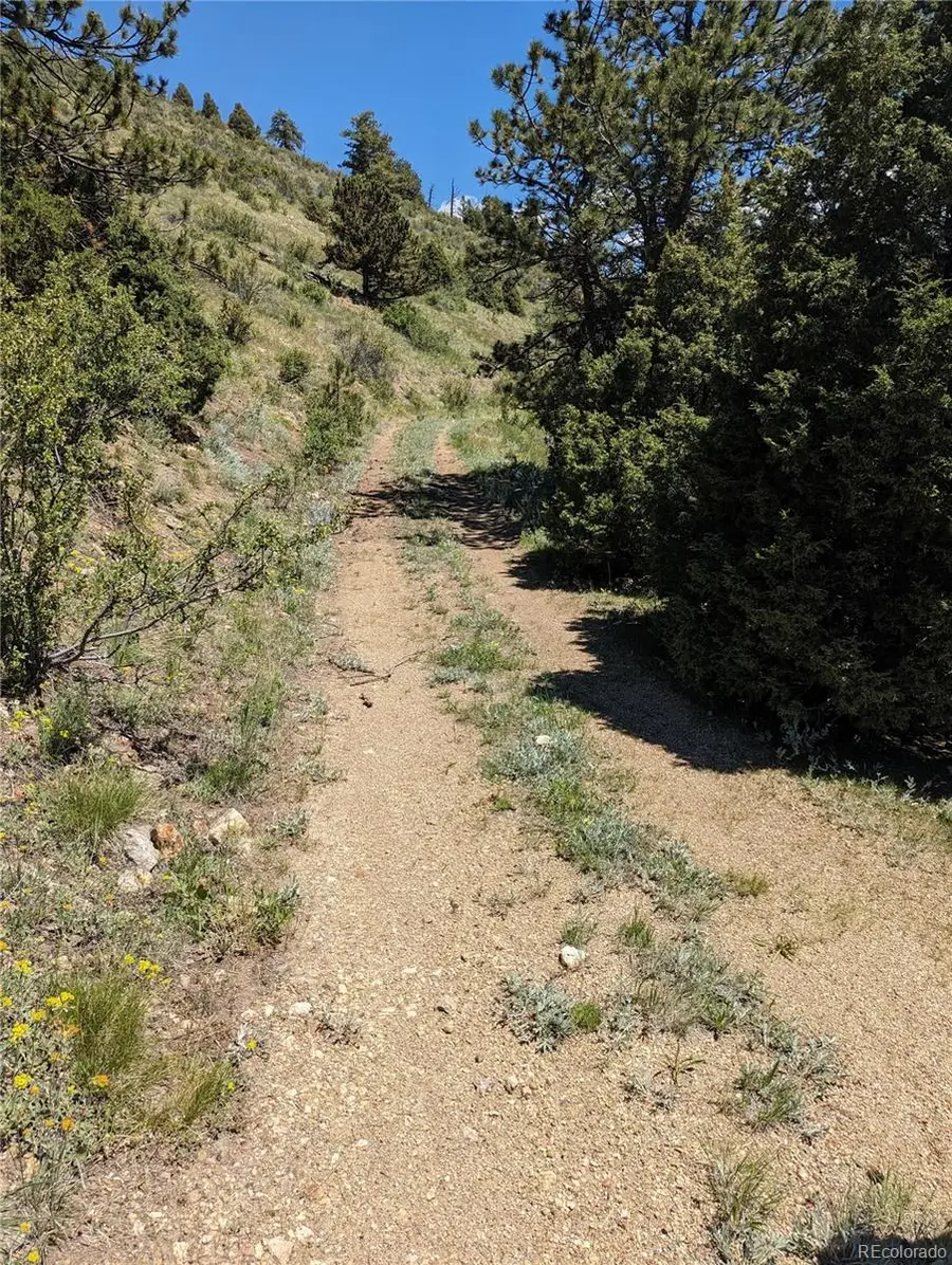 00 Maud L, Dumont, CO 80436 - #2