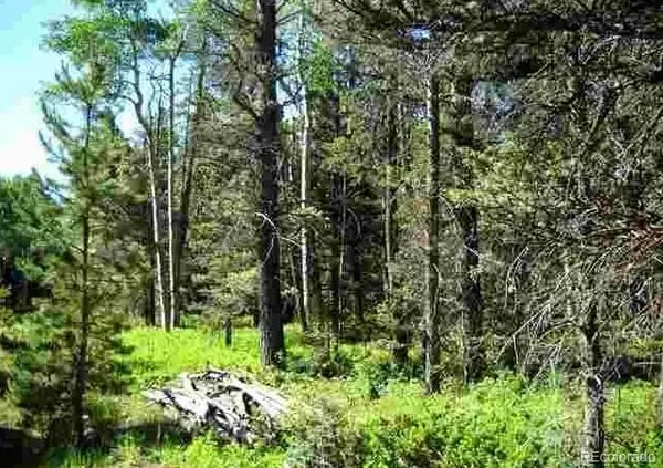 Lot 1882, Fort Garland, CO 81133