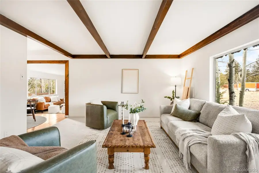 34657 Mohawk Trail, Pine, CO 80470 - #3