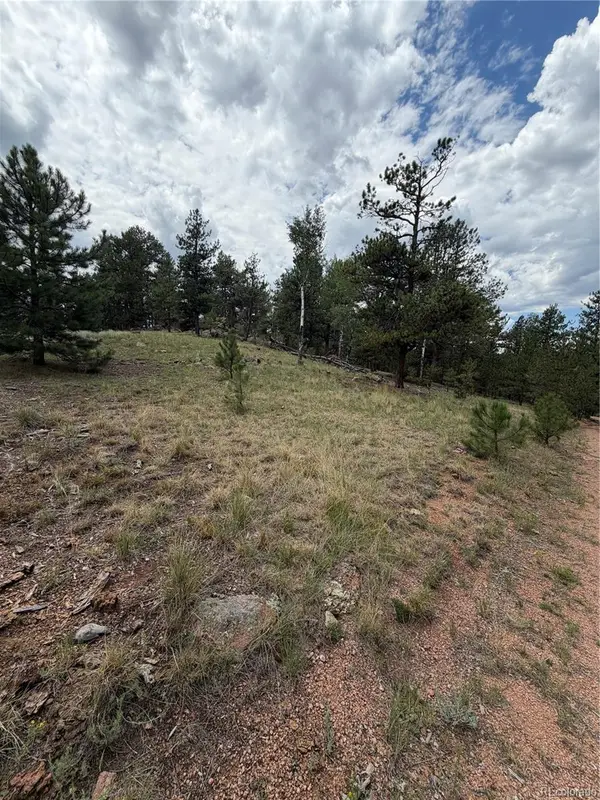 11042 County Rd 1, Florissant, CO 80816