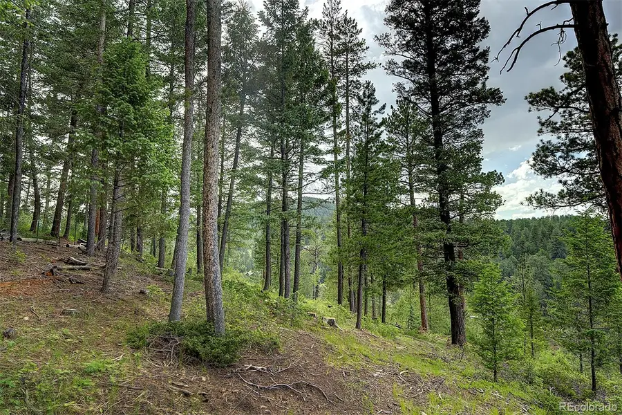 6855 Lynx Lair Road, Evergreen, CO 80439 - Image #2