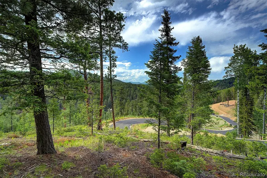 6855 Lynx Lair Road, Evergreen, CO 80439 - Image #3