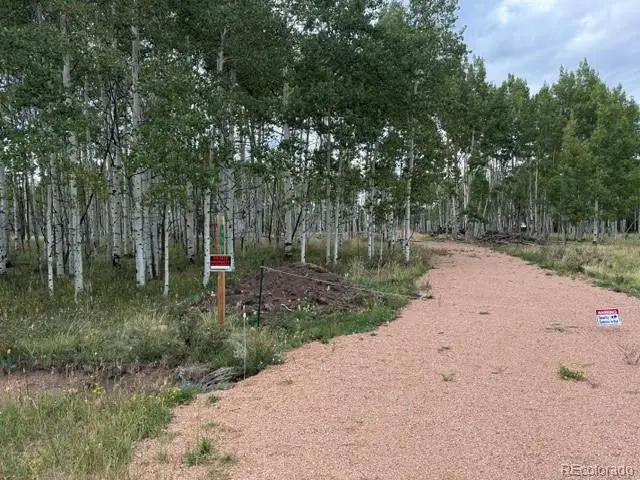 455 Aspen Way Drive, Florissant, CO 80816 - #3
