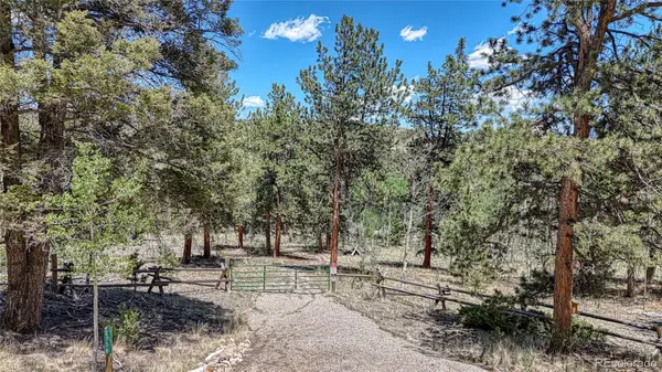 2338 Fitzsimmons Road, Hartsel, CO 80449