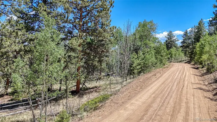 2338 Fitzsimmons Road, Hartsel, CO 80449 - Image #2