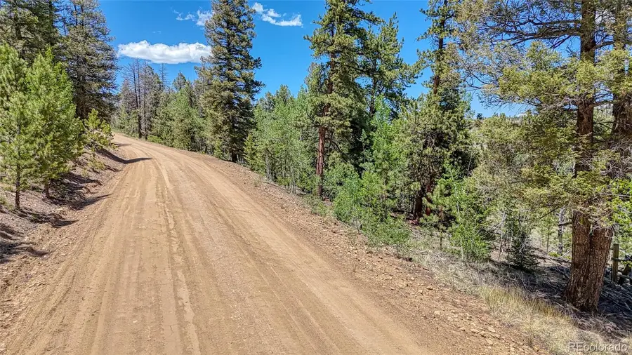 2338 Fitzsimmons Road, Hartsel, CO 80449 - Image #3