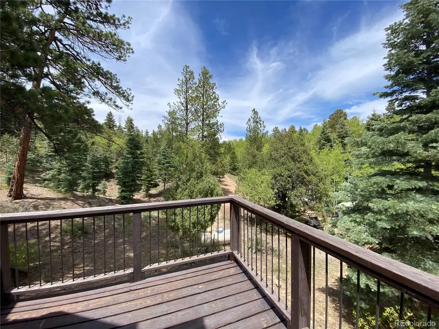 1927 Basin Drive, Cotopaxi, CO 81223 - #3