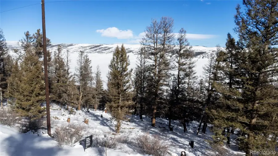 1396 Middle Fork Vista, Fairplay, CO 80440 - Image #3