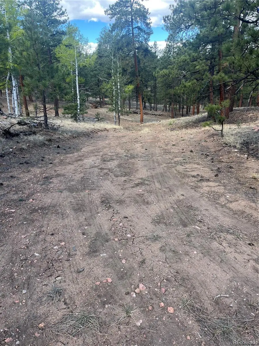 185 Sioux Trail, Westcliffe, CO 81252 - #2
