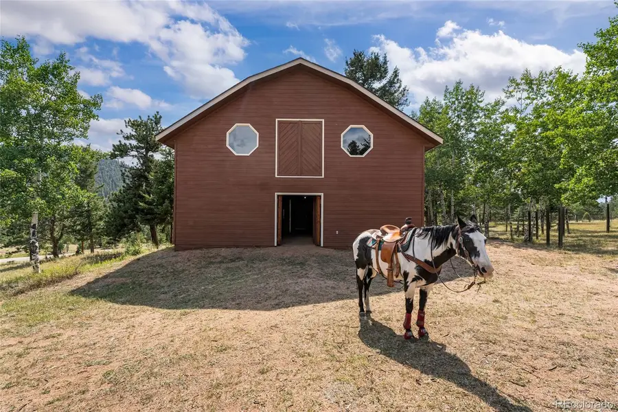 48 Allen Circle, Pine, CO 80470 - Image #3