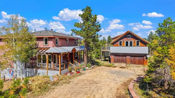 45 Alpine Drive, Nederland, CO 80466