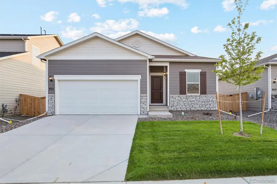 971 Cascade Falls Street, Severance, CO 80550 - #3