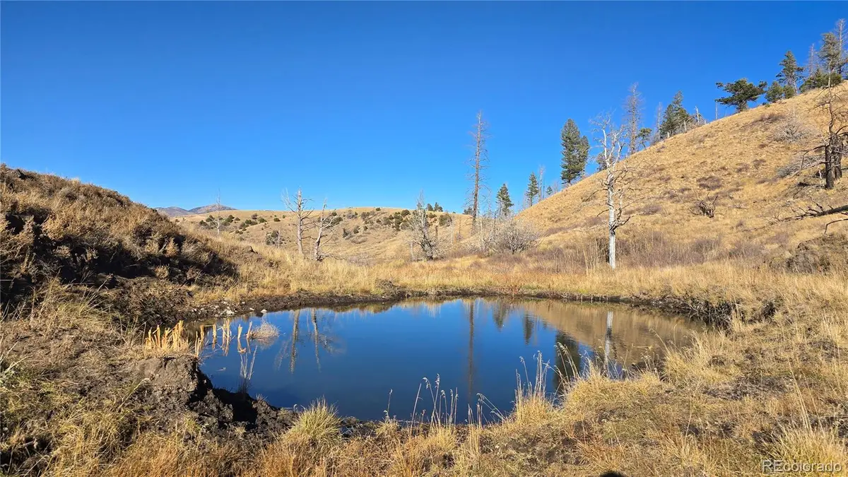 7741 Van Giesen Road, Fort Garland, CO 81133 - Image #1