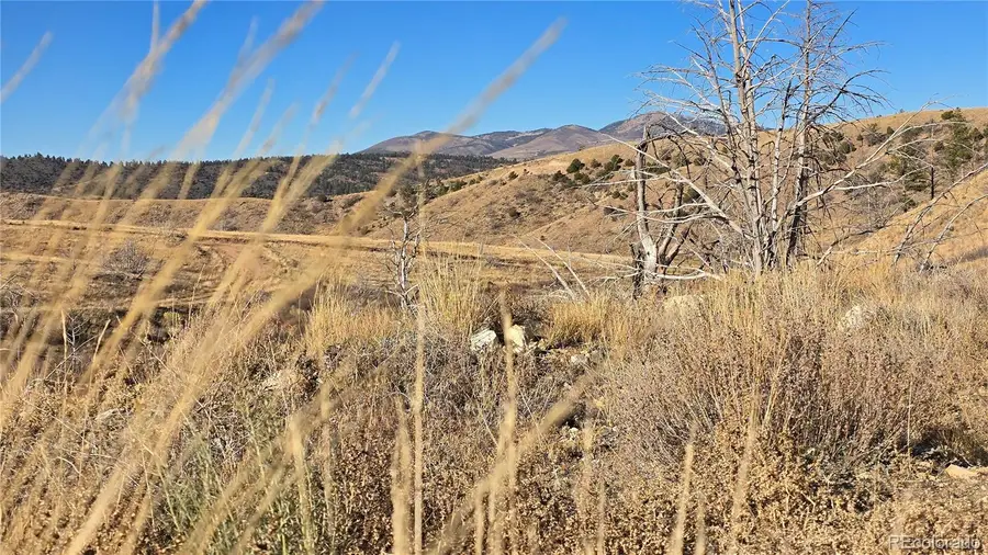 7741 Van Giesen Road, Fort Garland, CO 81133 - Image #3