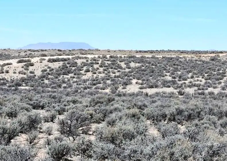 113 lots Sports Valley Estates, Mesita, CO 81152 - #3