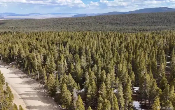 1726 Venture Road, Fairplay, CO 80440