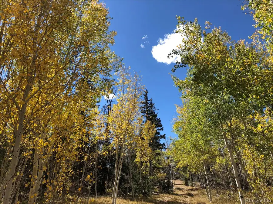 683 Latigo Loop, Lake George, CO 80820 - #3
