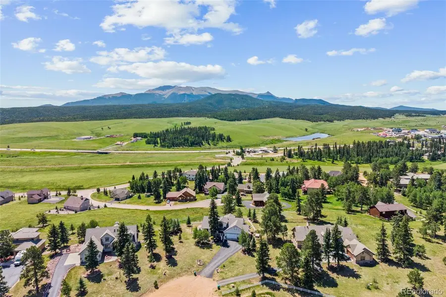 133 Matthew Road, Divide, CO 80814 - #3