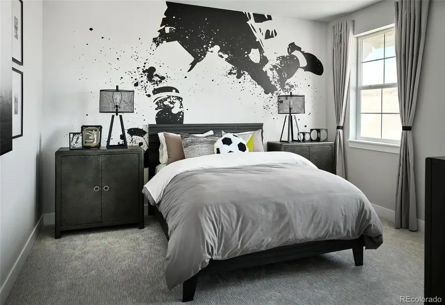 1708 Fox Trotter Point, Castle Rock, CO 80104 - Image #2