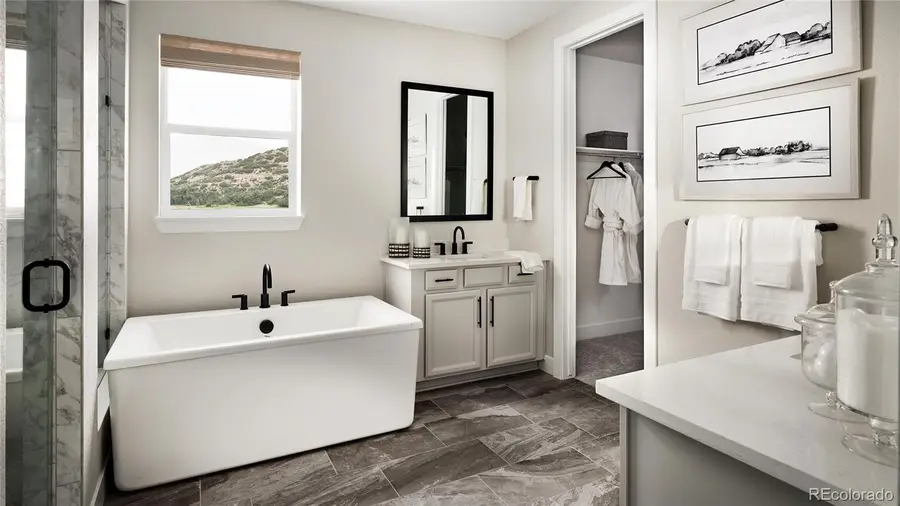 1708 Fox Trotter Point, Castle Rock, CO 80104 - Image #3