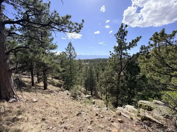 000 Schulze Ranch Rd, Westcliffe, CO 81252