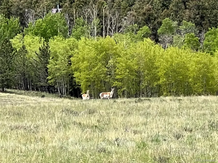 Ranch Road, Hartsel, CO 80449 - Image #3