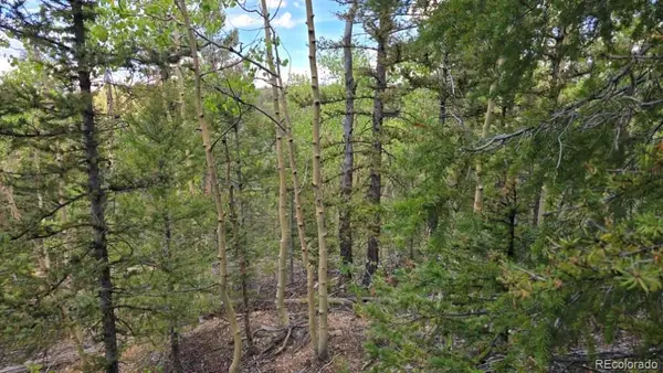 Lot 6803 Ryland Road, San Luis, CO 81152
