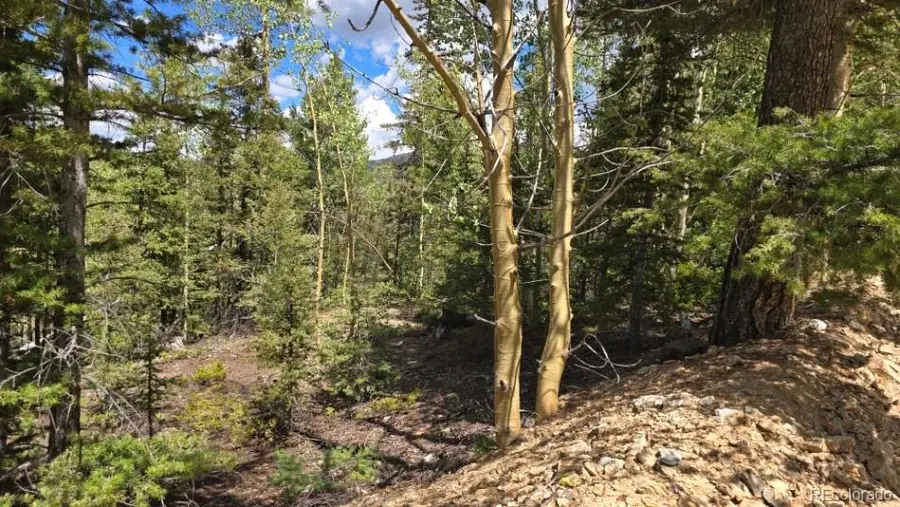 Lot 6803 Ryland, San Luis, CO 81152 - #2