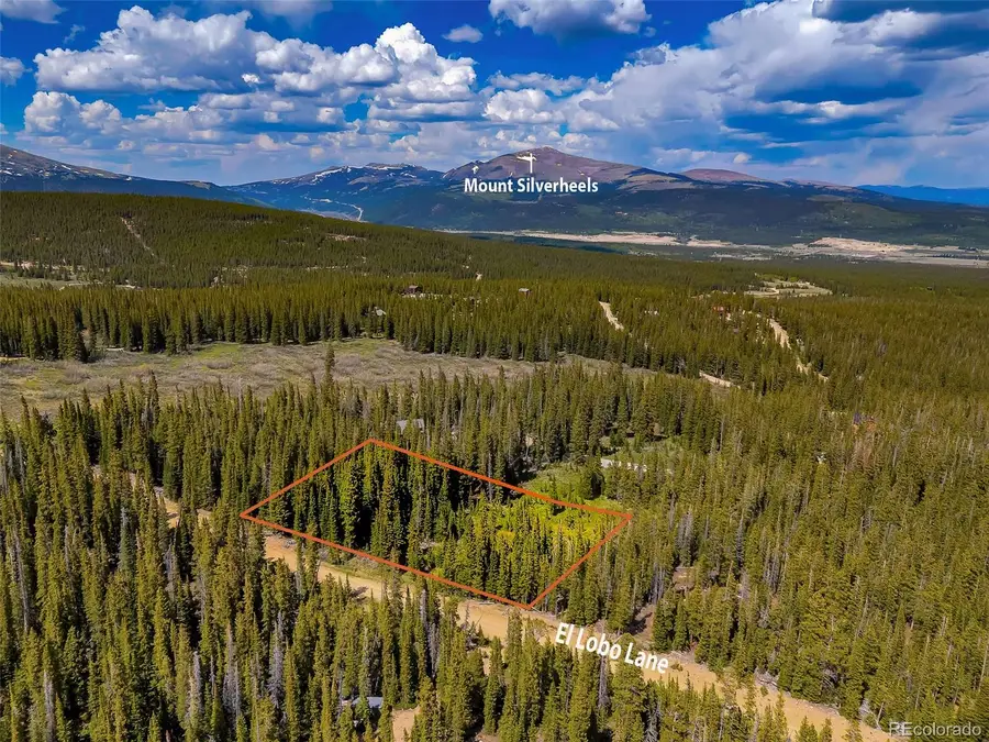 632 El Lobo Lane, Fairplay, CO 80440 - Image #3