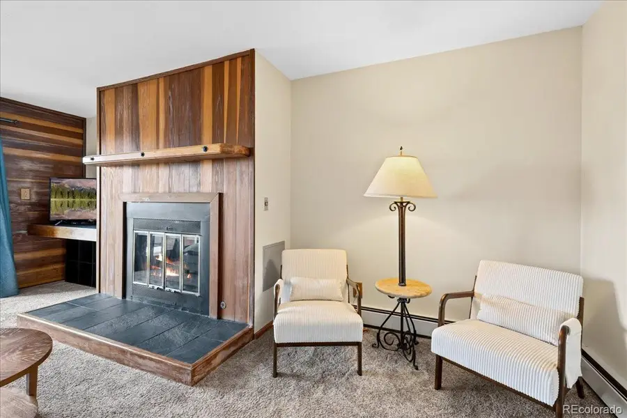 91300 Ryan Gulch Road #91301, Silverthorne, CO 80498 - #2