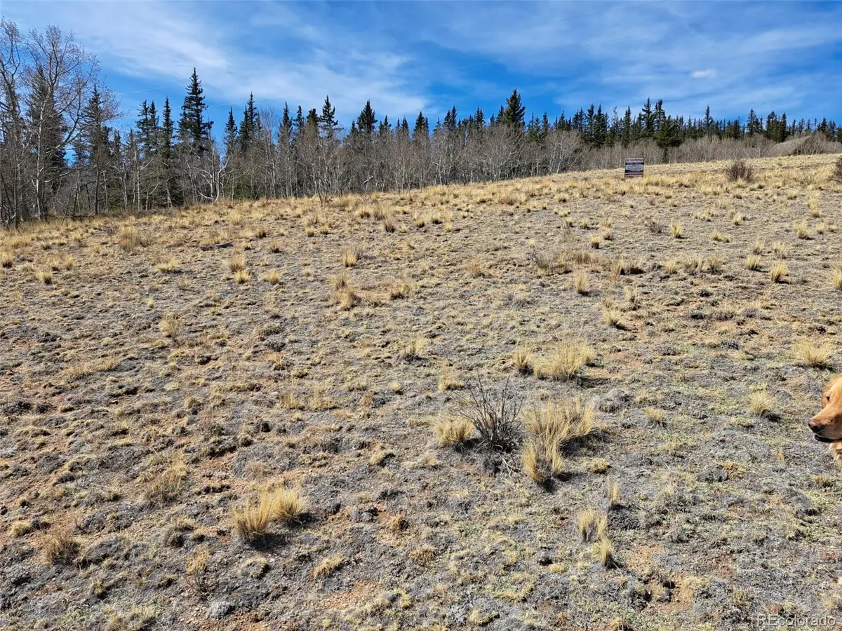 541 War Lane, Como, CO 80432 - #1