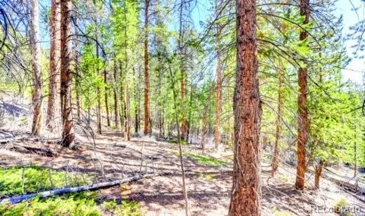 2222 Swift Claim Road, Georgetown, CO 80444 - #1