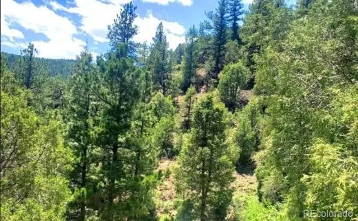 2222 Swift Claim Road, Georgetown, CO 80444 - #2