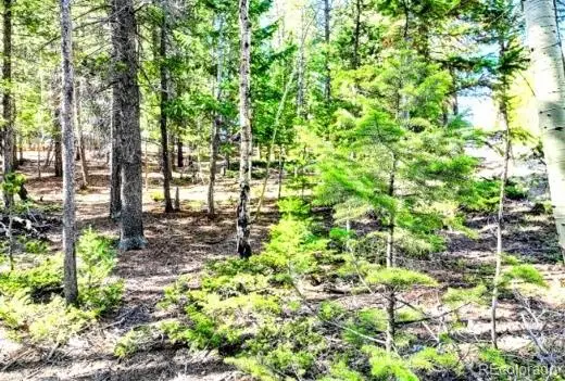 2222 Swift Claim Road, Georgetown, CO 80444 - #3