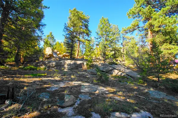 30599 Rand Road, Conifer, CO 80433