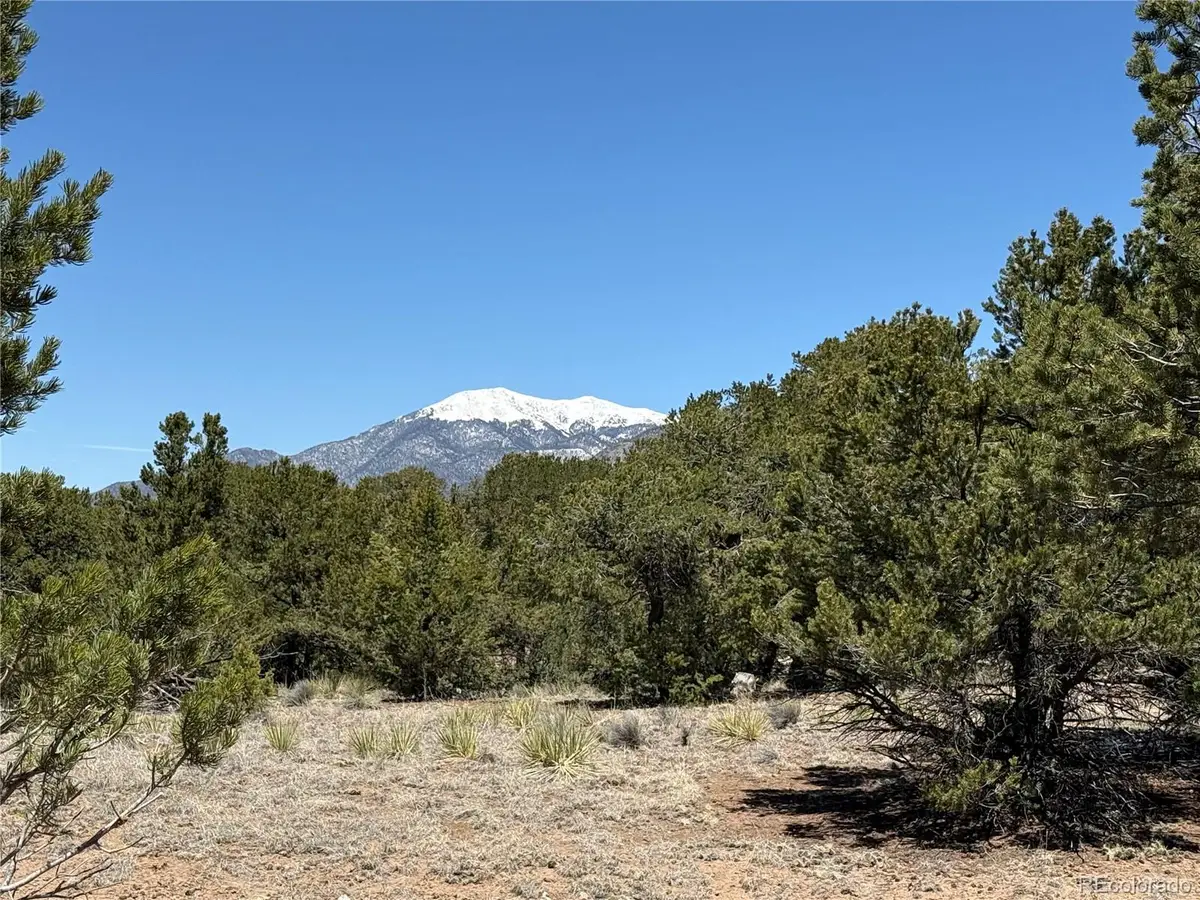 3231 Camino Del Rey, Crestone, CO 81131 - #1