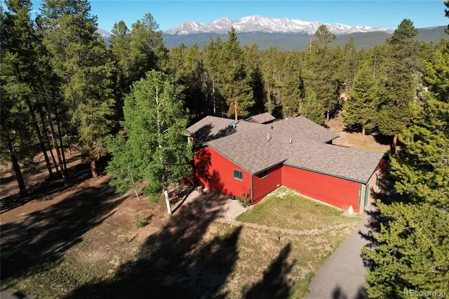 245 Baby Doe Drive, Leadville, CO 80461 - #3