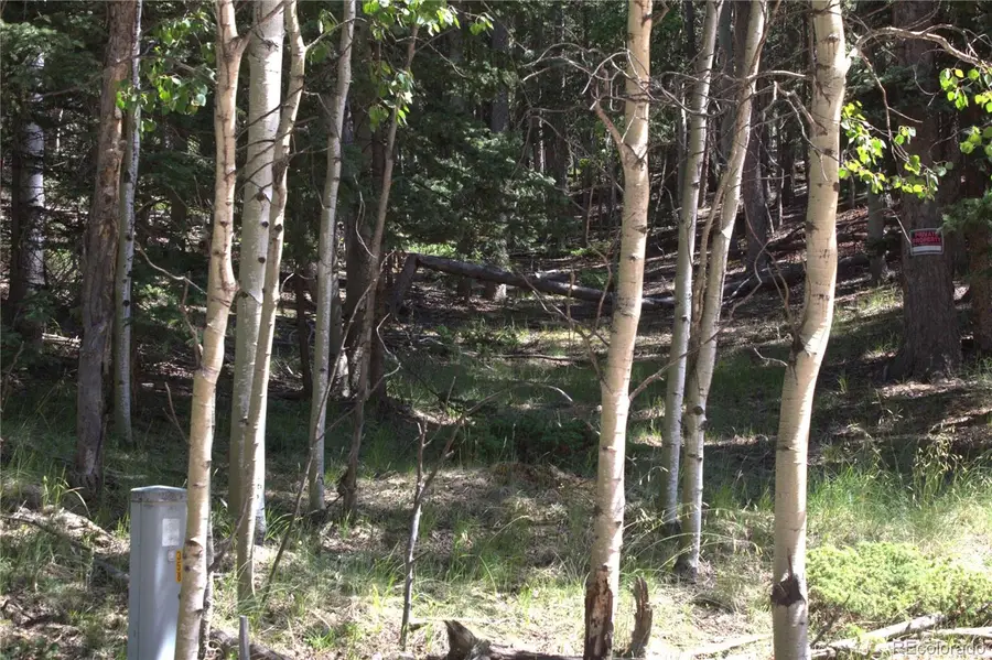 358 Pawutsy Road, Florissant, CO 80816 - #2