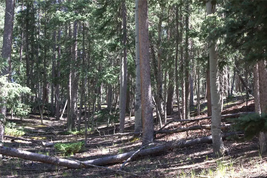 358 Pawutsy Road, Florissant, CO 80816 - #3