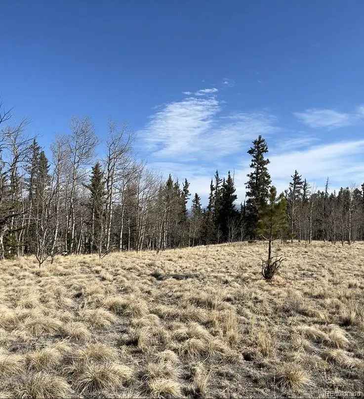 27 Warpath Road, Como, CO 80432 - #2