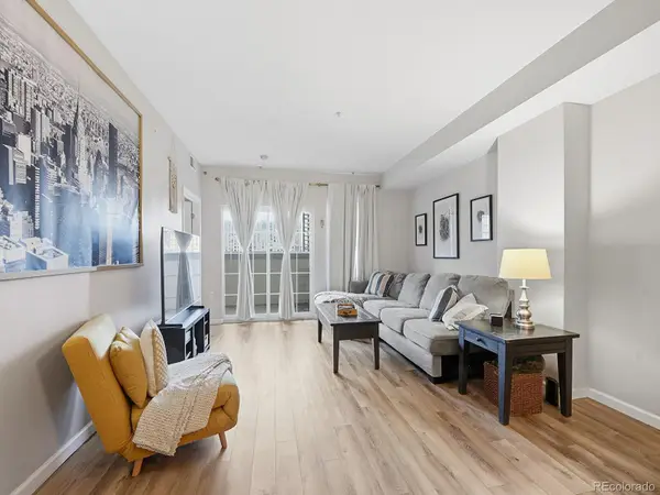 925 N Lincoln Street #4E, Denver, CO 80203