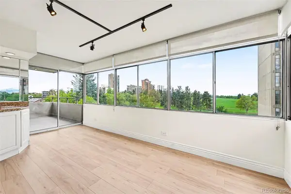 1313 N Williams Street #705, Denver, CO 80218