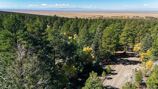 54 & 56 Big Bear, Mosca, CO 81146