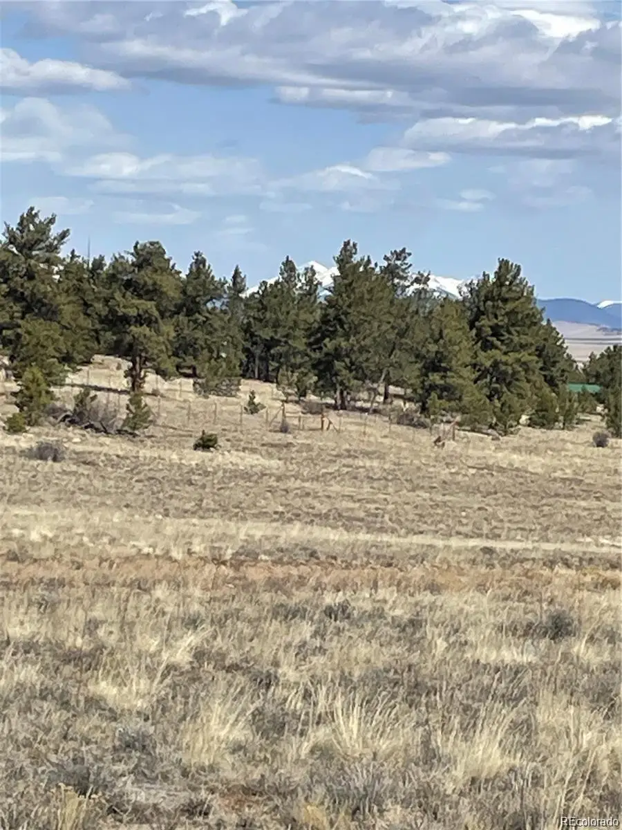 00 Guipago Trail, Hartsel, CO 80449 - #1