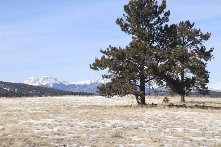 96 Baler Court, Hartsel, CO 80449 - #2