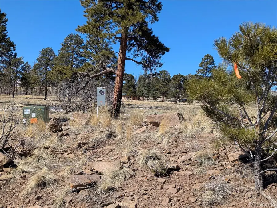 659 Richard Drive, Fort Garland, CO 81133 - Image #2