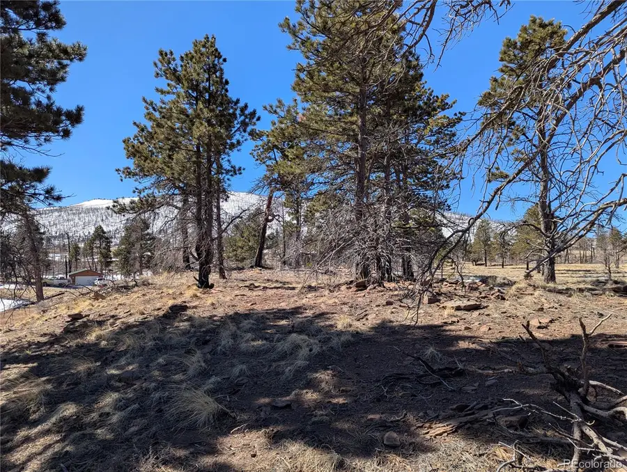 659 Richard Drive, Fort Garland, CO 81133 - Image #3