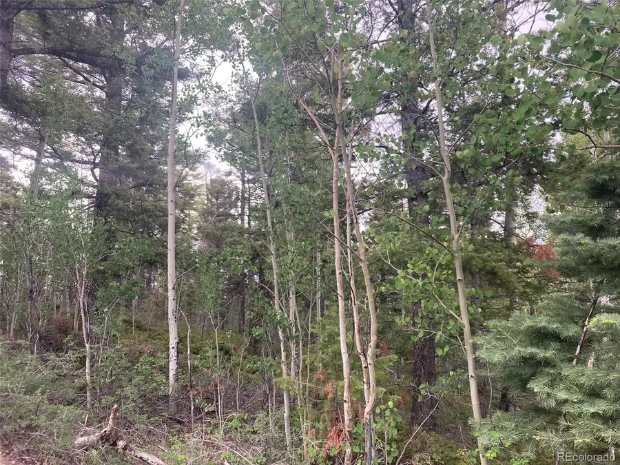 LOT 6351 Aragon Road, San Luis, CO 81152 - #3