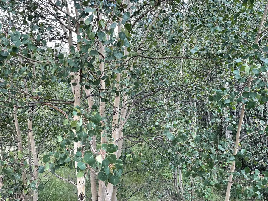 6325 Remington Road, Como, CO 80432 - Image #2