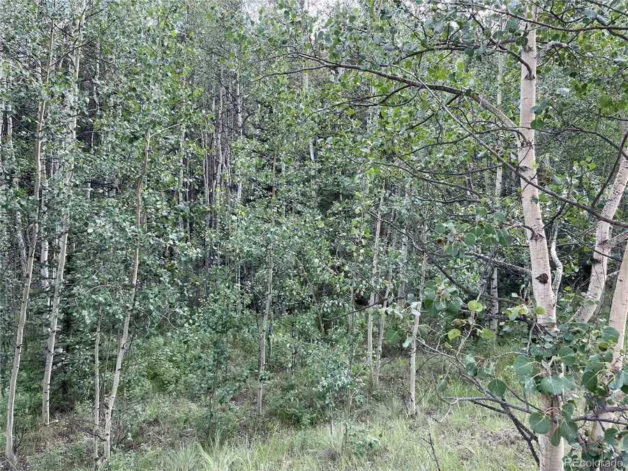 6325 Remington Road, Como, CO 80432 - Image #3